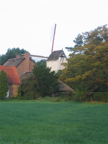 IMG 0303