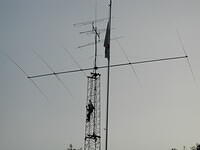 P5310028