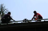 IMG 1264