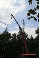 IMG 1310